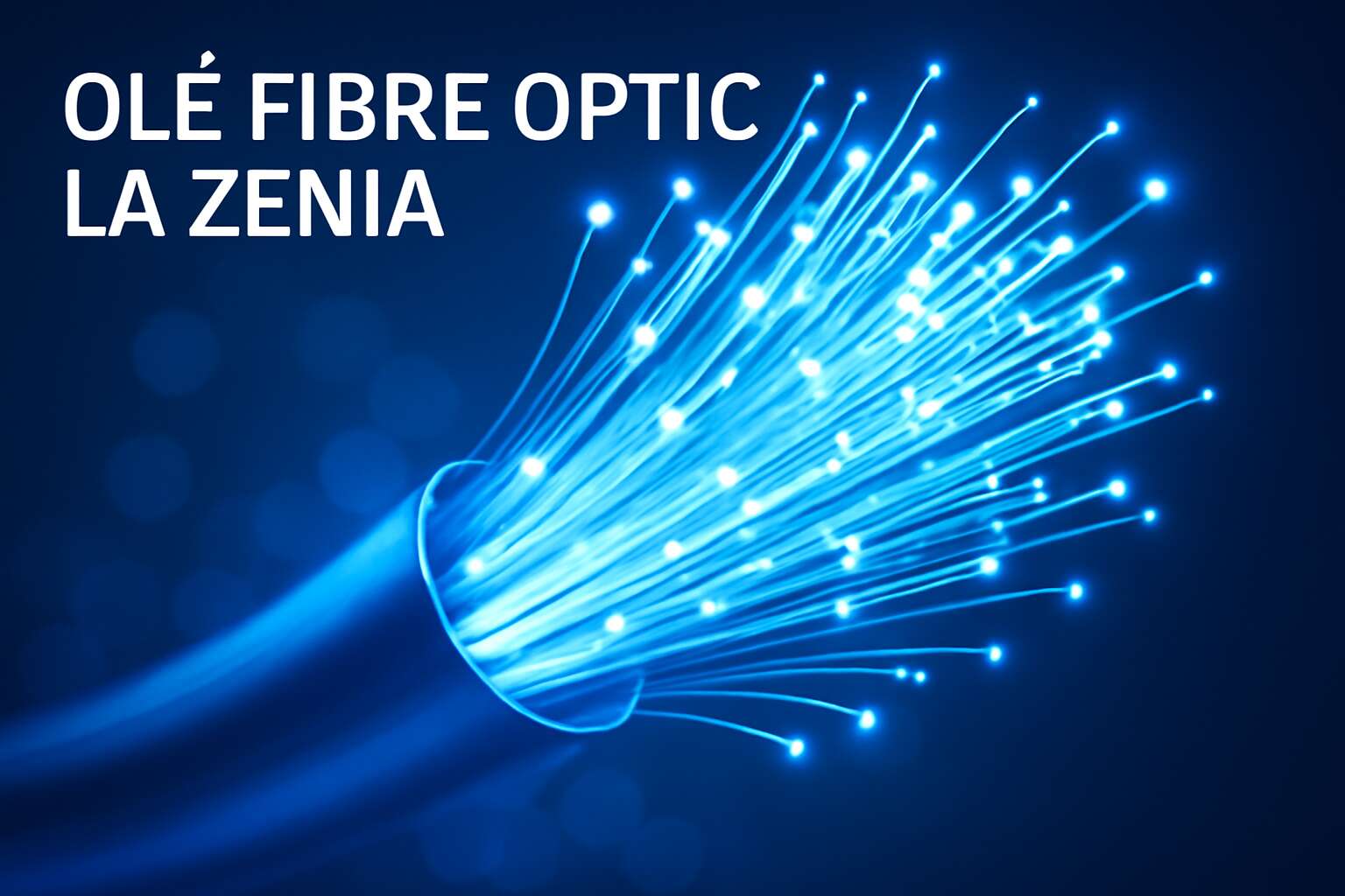ole fibre optic la zenia