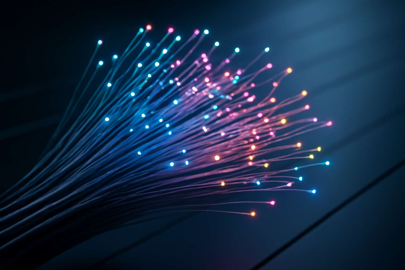 generated_image_68bcfee886e5d.jpg fibre optic cable harvey norman