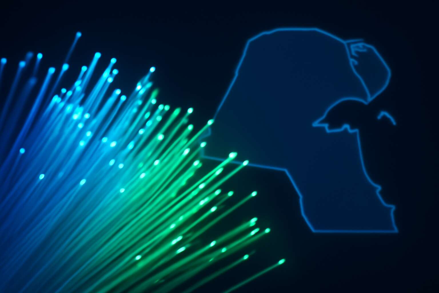 generated_image_6a4b320cb2e4c.jpg fibre optic kuwait